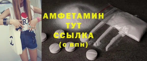 шишки Осташков