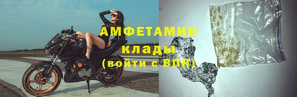 шишки Осташков