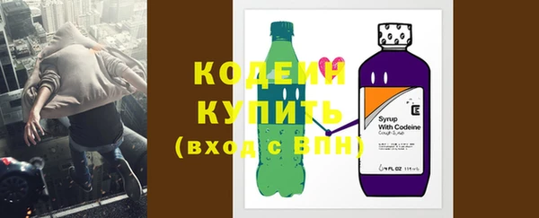 шишки Осташков