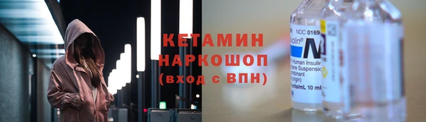 гидра Няндома