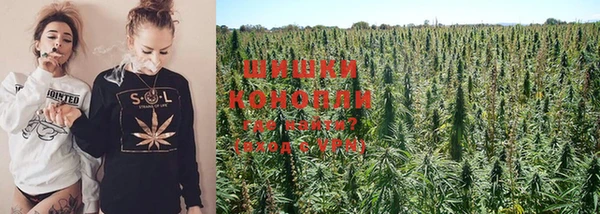 шишки Осташков