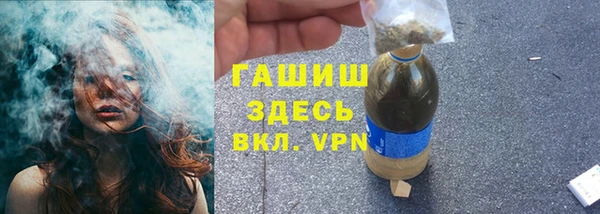 шишки Осташков